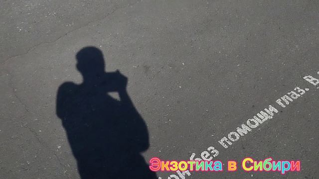 Шушенское пристань