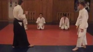 Aikido mae geri tenchi nage