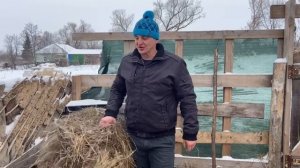 Ошибки начинающих фермеров. ИЗ ГОРОДА В ДЕРЕВНЮ 🏡