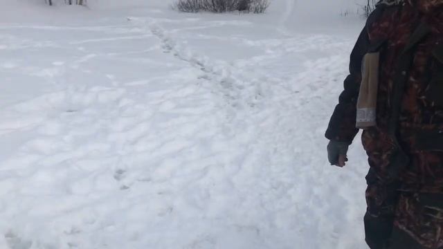 Ловля форели со льда РК «Фишка» Петряиха смотреть онлайн