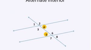 Parallel Lines and Transversals (Simplifying Math)