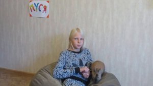 Как дрессировать кролика