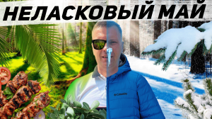 ГИБЕЛЬ УРОЖАЯ И ВЗЛЕТ ЦЕН НА ПРОДУКТЫ⁉️ ПОСЛЕДСТВИЯ ЗАМОРОЗКОВ 2024