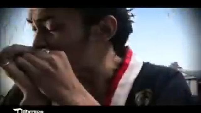 DOBERMAN 車窓は寝転んだまま смотреть онлайн