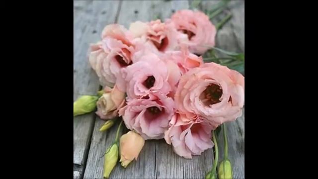 ดอกไลเซนทัส - กาพย์ยานีวิถีดอกไม้งาม смотреть онлайн