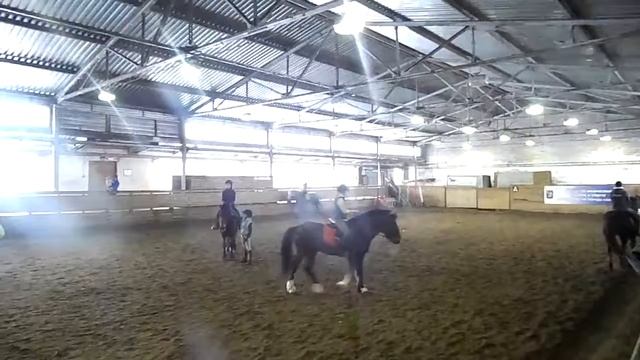 Весёлый голоп смотреть онлайн