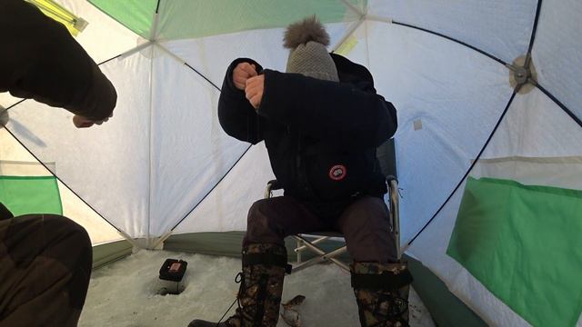 Глухозимье.На безрыбье и рак тоже рыба..Белоярское водохранилище.26 января 2024 год. смотреть онлайн