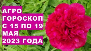 Агрогороскоп с 15 по 19 мая 2023 года. Агрогороскоп з 15 по 19 травня 2023 року