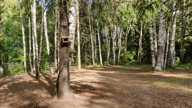 Фонари горят днём смотреть онлайн