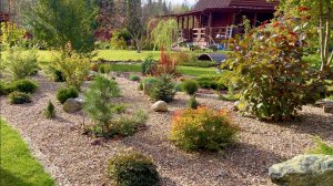 ЛИСТВА В РОКАРИИ. БОРДЮР У КЛУМБЫ С РОЗАМИ. БРУННЕРА ЛУКИН ГЛАСС. ГОРТЕНЗИИ. РОЗЫ. ХАУТТЮЙНИЯ.