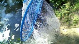 Ловим УКЛЕЙКУ на кастинговую сеть для посола.mp4