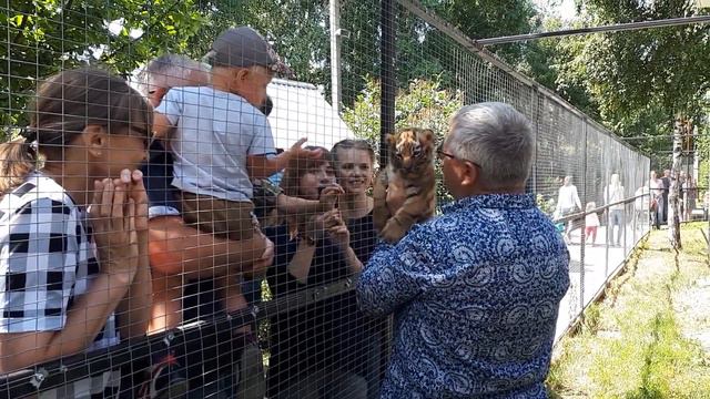 День тигра прошёл в барнаульском зоопарке