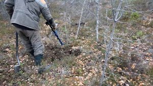 Металлокоп в лесу.Эта находка подняла настроение))Нашли лесного трудягу))