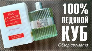 DIOR EAU SAUVAGE 100% GLAÇON (100% COOLING EFFECT) vs ORIGINAL // ОБЗОР АРОМАТА // Fragrance Review