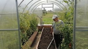 Работа в теплице летом.