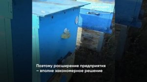 Пчеловоды Прикамья увеличат производство меда до 100 тонн в год