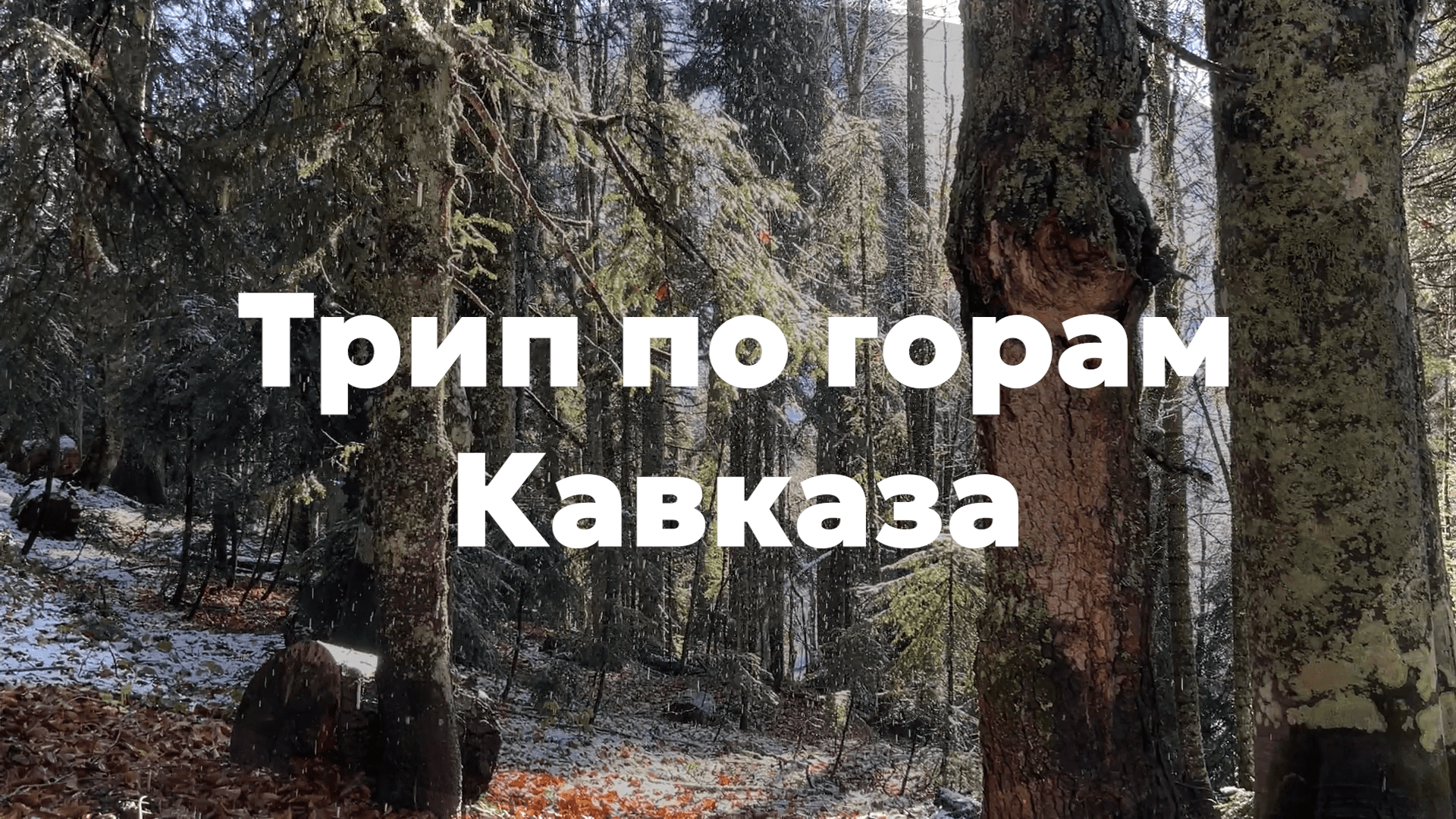 Трип по горам Кавказа | день рождения, баня, горы и плов