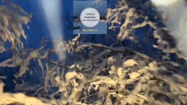 Турбаза. Снегоходная дорога. Декабрь 2021 г. смотреть онлайн