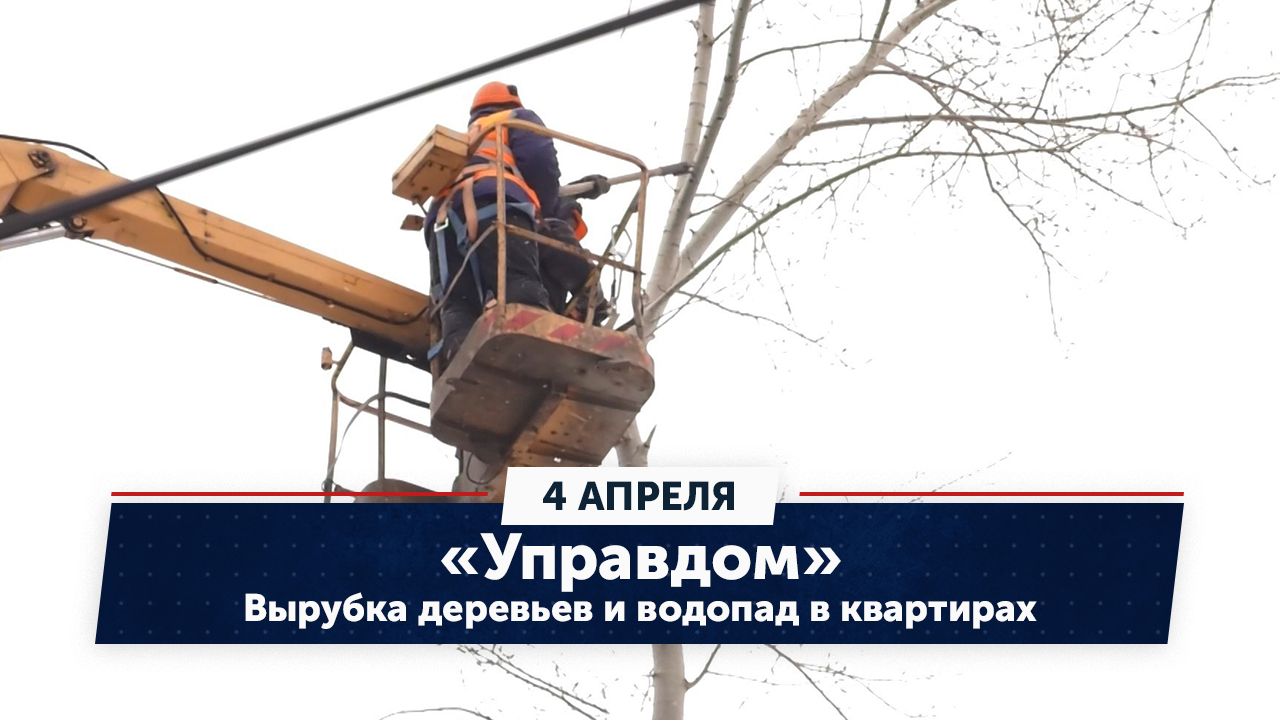 Вырубка деревьев и водопад в квартирах / «Управдом» (04.04.24)