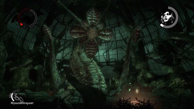 Batman Arkham Asylum GOTY Edition (#16)-ЯДОВИТЫЙ ПЛЮЩ смотреть онлайн