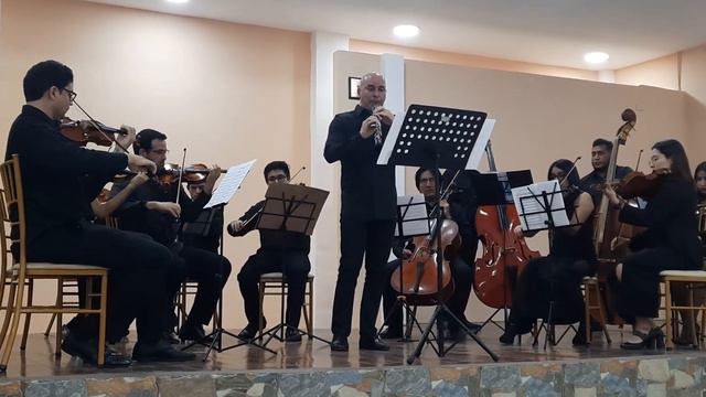 Concierto N°2 en re menor A. Marcello (Adagio) смотреть онлайн