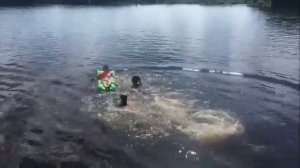 ТИПЫ ЛЮДЕЙ НА РЕЧКЕ