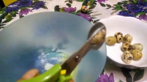 Ножницы для перепелиных яиц