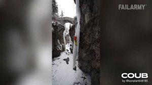 Лучшие приколы за 2019 год. Прикольное видео коты, Смешные животные, Отборные Coub видео