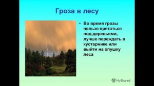 тема урока гроза,и куда можно прятаться во время грозы