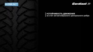 Обзор шины CORDIANT Sno Max PW 401