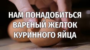 Как избавиться от тараканов