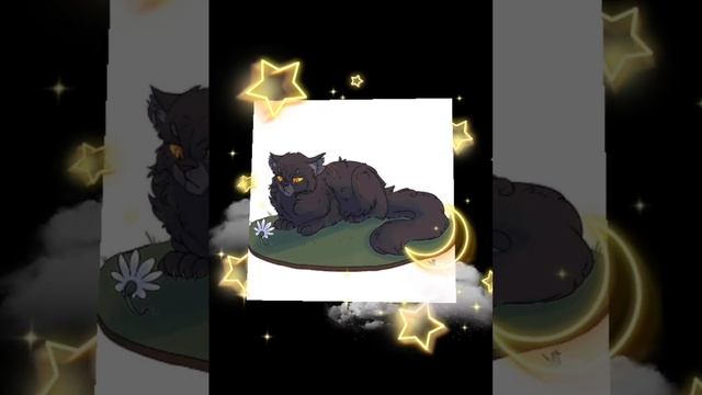 заказ: Листвяная Звезда, Эхо, Огнезвёзд, Щербатая, Кленовица, Пепелица и Синеглазка @KoshakShyrshak смотреть онлайн