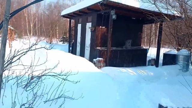 Тюльпаны в кашпо от А до Я. смотреть онлайн