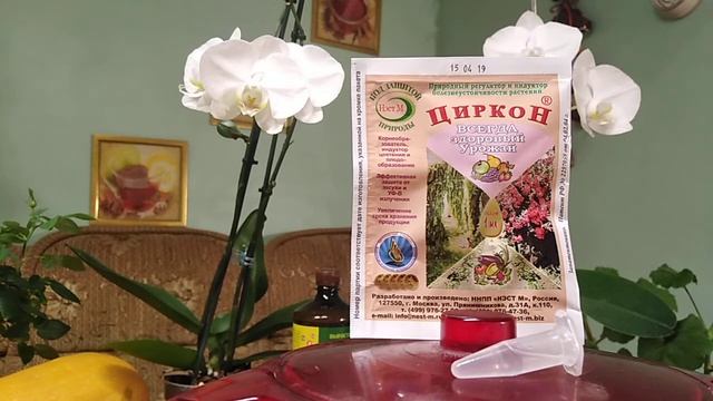 "СТИМУЛЯТОР" Циркон.