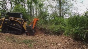 Строительство, расчистка площадки от растительности