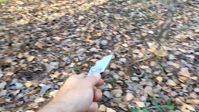 ГРИБЫ МАСЛЯТА ПОРАДОВАЛИ смотреть онлайн