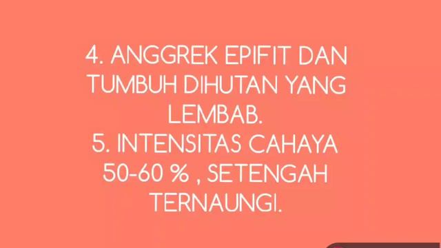 ORCHIDS PART 12 / ANGGREK DENDROBIUM смотреть онлайн