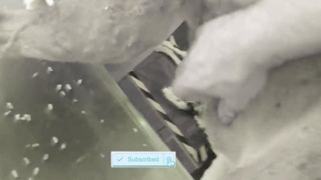 Huge Maggots & Mangoworms Cleaning From Stray Dog ! Animal Rescue Video 2022 #13