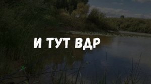 СУДАК НА ЖИВЦА | ПРАВИЛЬНЫЙ ВЫБОР МЕСТА ДЛЯ РЫБАЛКИ