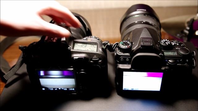 Nikon D810 vs Pentax K-1 Shutter Sound смотреть онлайн