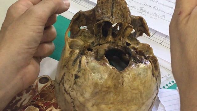 Temporal canals смотреть онлайн