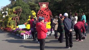 Шэньян (Shenyang),Северную гробница:выставка хризантем.2016