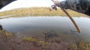 Рыбалка в Воронежской области! Фидер в октябре.