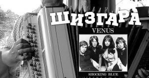 Shocking Blue - Vinus - Russian accordion (на баяне)