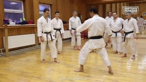 Семинар мастера каратэ О.Цоя, 12-15 октября, Спортклуб "РАМЕНКИ".