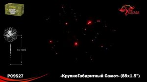 РС9527 КрупноГабаритный