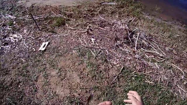 Чехонь в Астраханской области на резинку