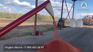 Протравитель передвижной ПС-25 | Отзыв о работе оборудования