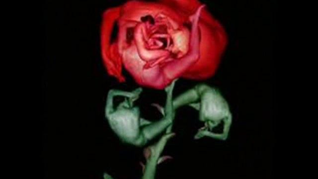 Armenian Poem ╬ ES spasum em qez Alis [Արմինե Կիրակոսյանը] смотреть онлайн