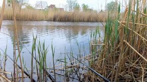 Рыбалка в Саратовской области. Карась. 9 мая 2020 г.